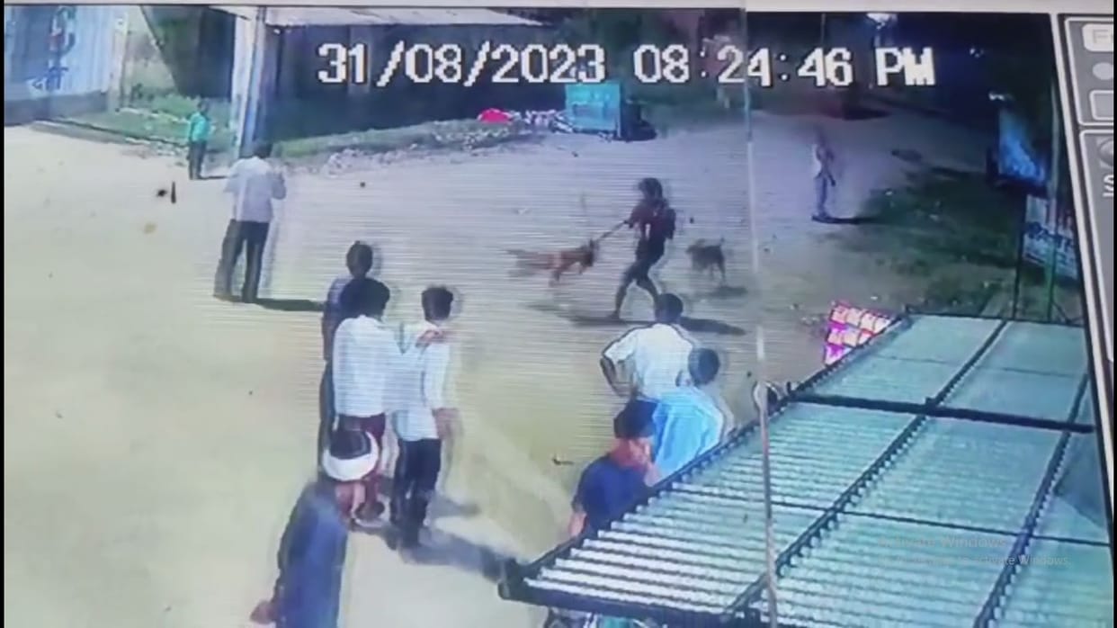 Brutal murder of a dog, tied a leash around his neck, then slapped him to death, said my son was attacked