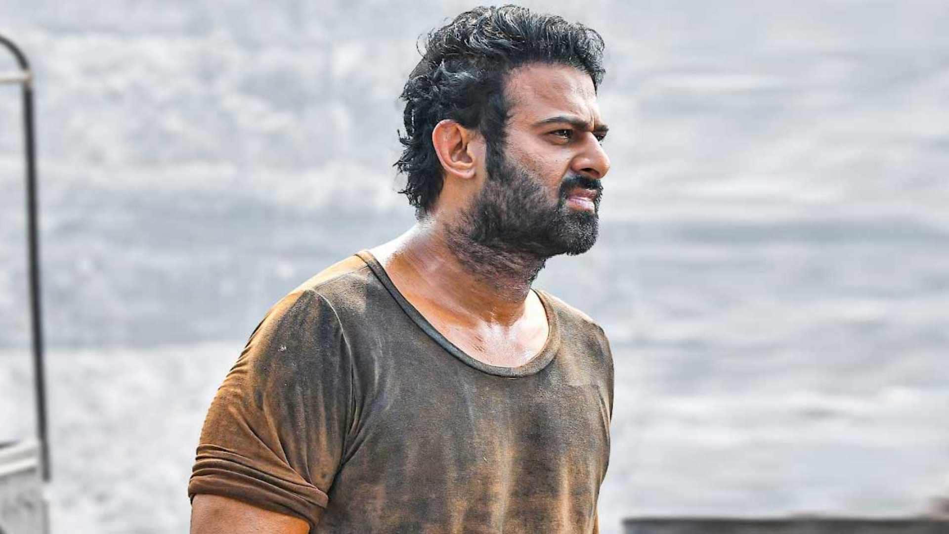 Sriya Reddy is happy with Prabhas comeback in Salaar says he never feel insecure with other actors
