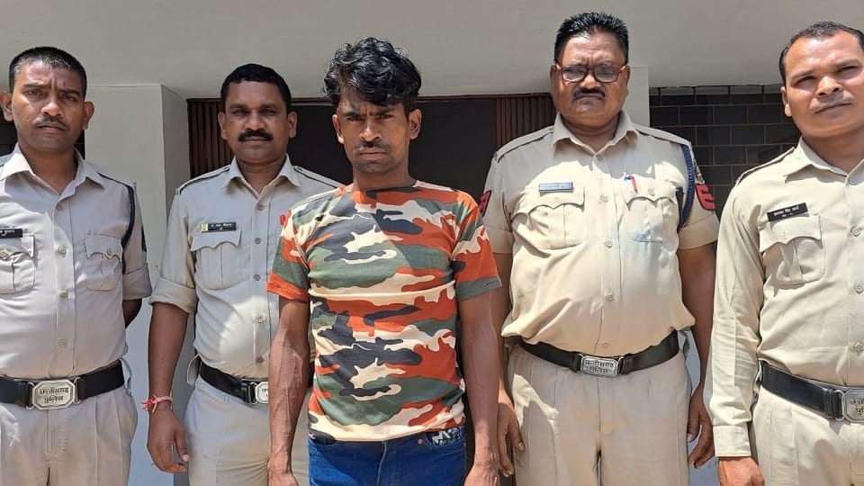 Son killed mother in Gaurela Pendra Marwahi