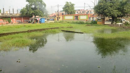 प्लॉट में जमा पानी