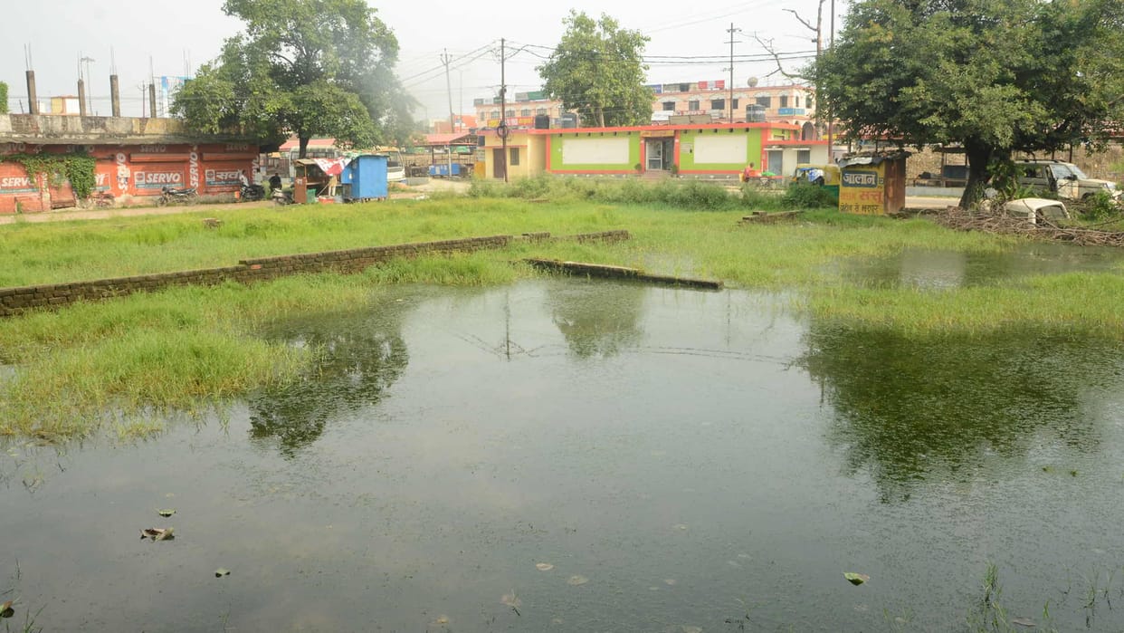 Dampness in house will make one suffer from asthma mosquitoes will increase malaria