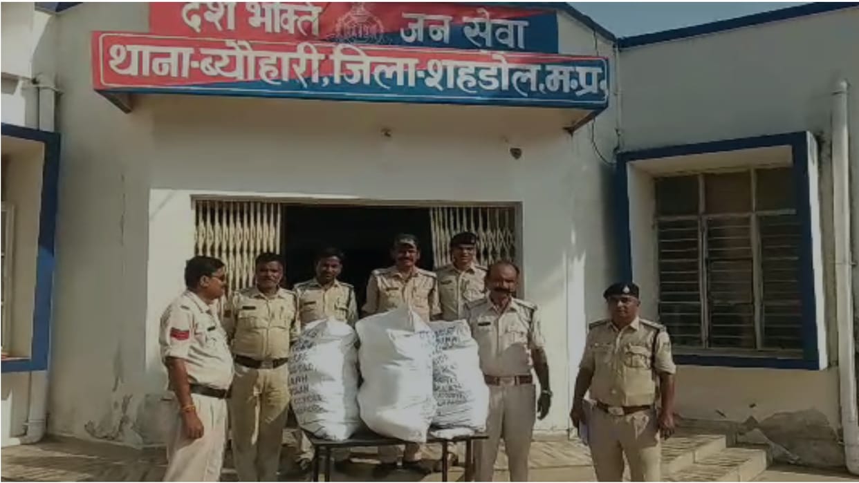 Shahdol Special team took major action Ganja smuggler caught on the instructions of SP quintal ganja recovered
