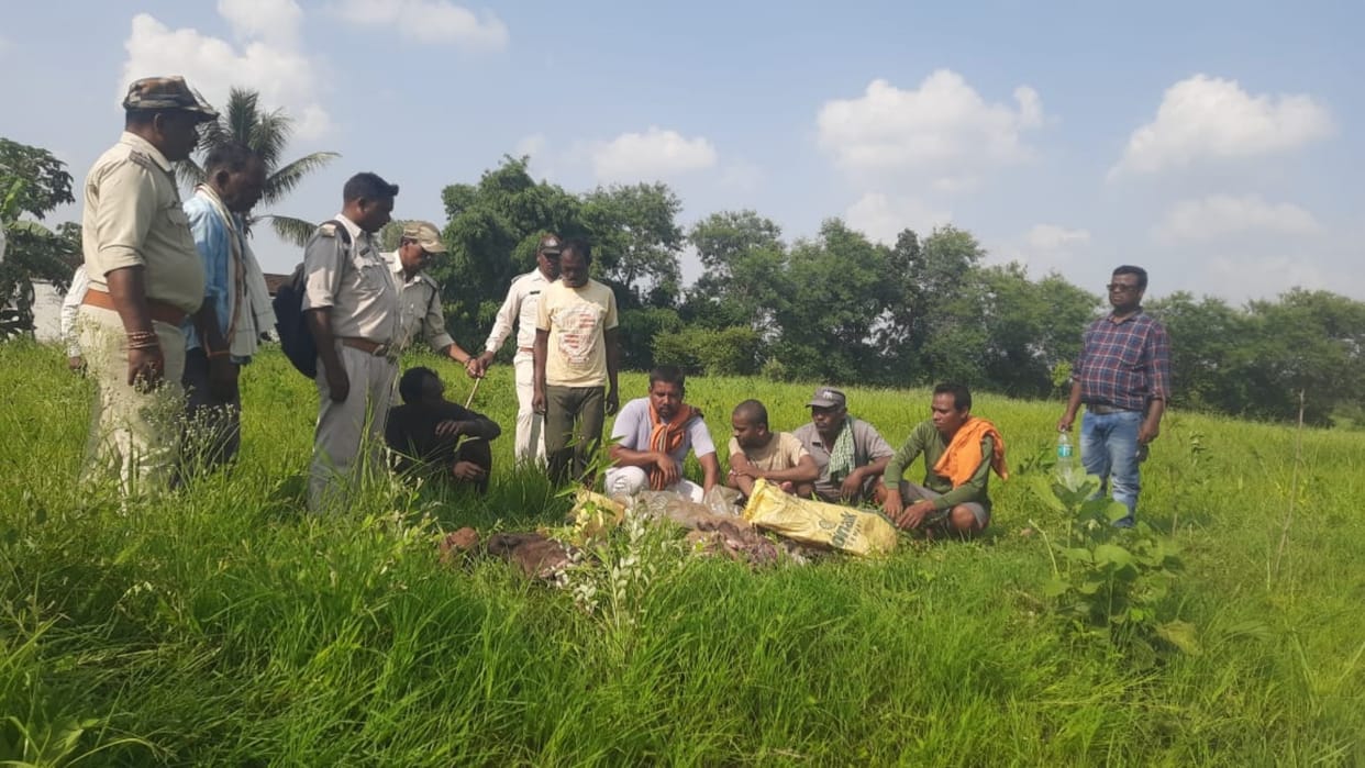 Umaria News Three wild boars died after being hit by a train frequent deaths of wild animals