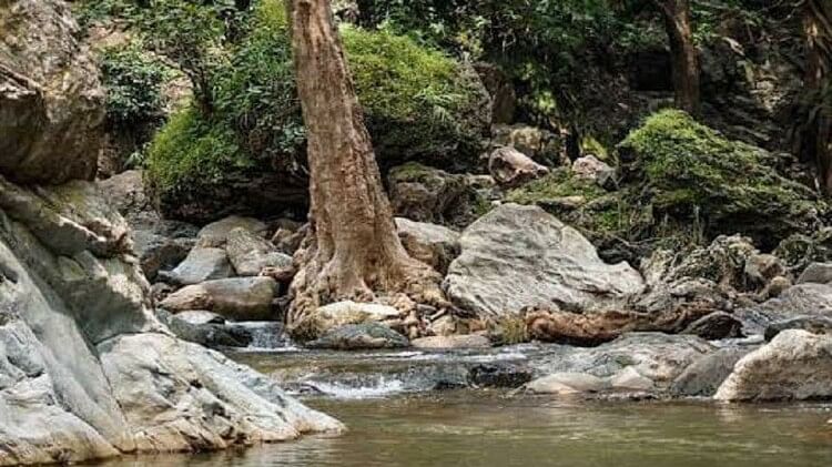 Two youths who went to take bath in Ranidahra Waterfall died due to drowning