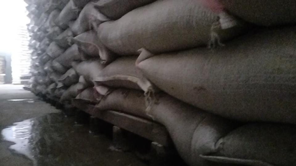 Kaithal: Water poured on wheat kept in HAFED warehouse, committee formed for investigation