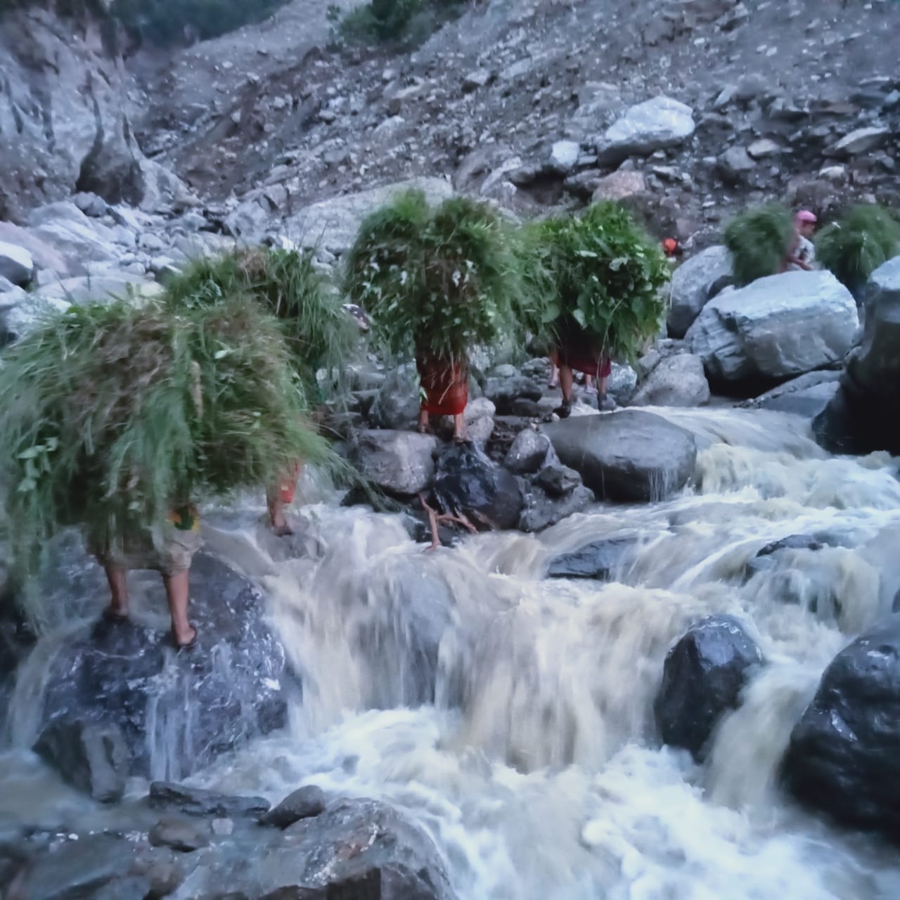 Chamoli: Even after 21 days of disaster in Kaunj-Pothineni road Not Built