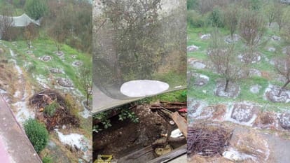 Himachal Weather: Apple damage due to hailstorm in many parts of Himachal, know forecast till September 10