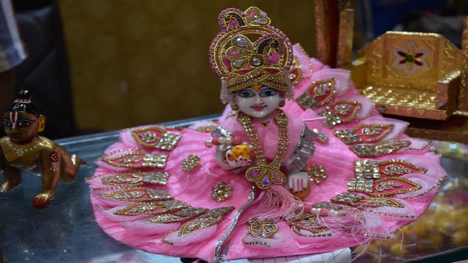 Laddu Gopal will take bath in bathtub, apply herbal powder, pictures of Moradabad market