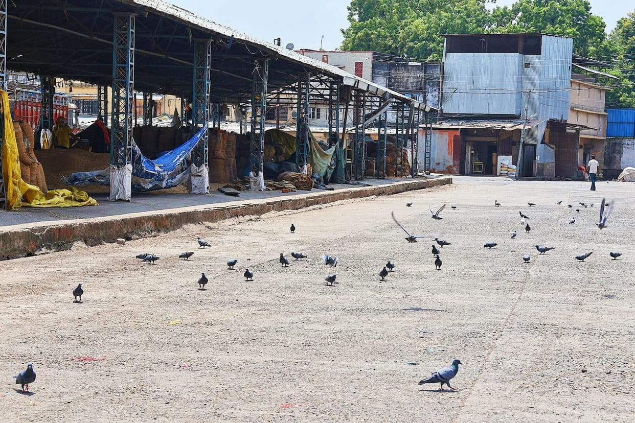 No work done in Indore mandis, traders went on strike
