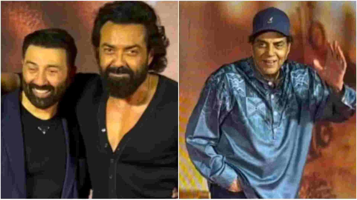 Gadar 2 500 crore rupees domestic Box office collection day 24 sunny deol anil sharma ameesha Patel utkarsh