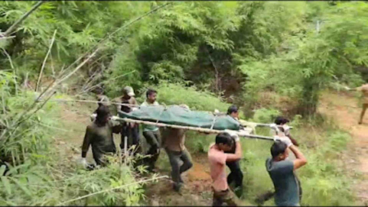 Park team rescues dangerous tiger from Majkheta village of Umaria