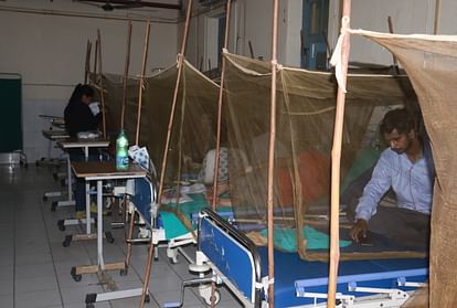 Moradabad: Eight people have lost their lives in 21 days, nine more dengue patients found