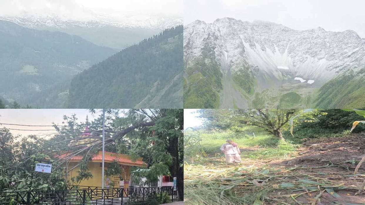 Himachal Weather: Maize crop destroyed by thunderstorm in Bilaspur,snowfall in sach pass
