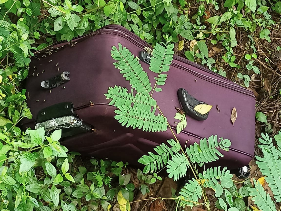 Bihar News: Dead body found inside a trolley bag in Patna; Murder of 20 year old boy wearing Bermuda T-shirt