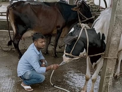 BMW Price : viral video of BMW carrying animal feed, bihar police shocked to see in bihar news in hindi