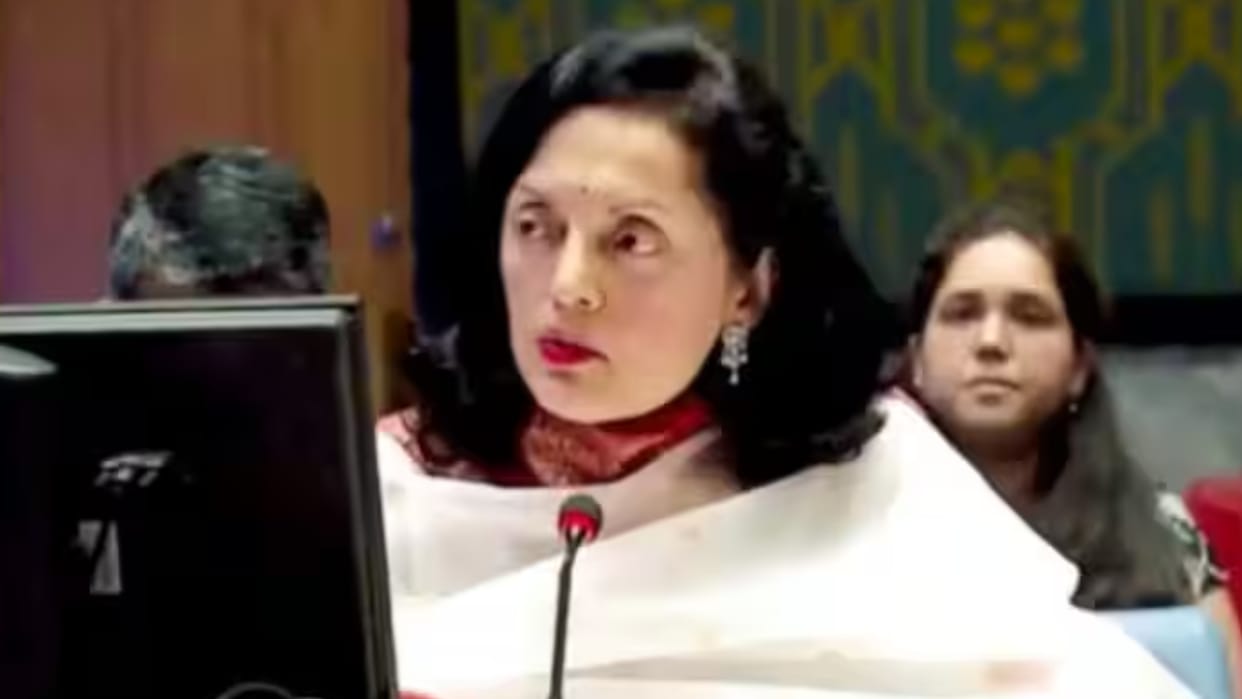 United Nation UN Security Council Ruchira Kamboj on blacklisting globally sanctioned terrorists