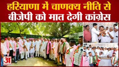 Haryana News: Congress will defeat BJP in Haryana with Chanakya Niti