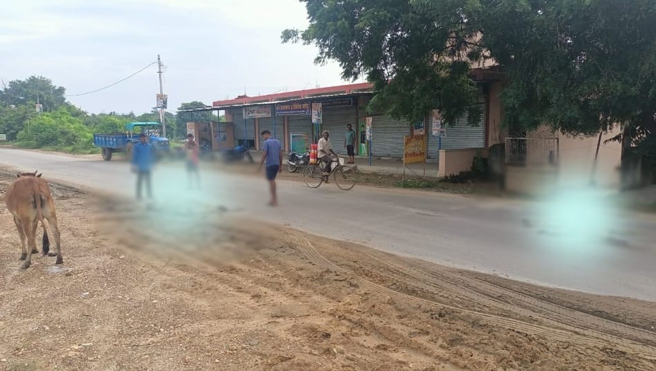 High speed vehicle trampled nine cattle in korba