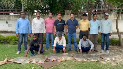 UP STF arrested three for smuggling of tortoise in Lucknow.
