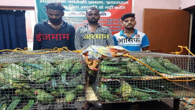 Three arrested while busting wildlife smuggling gang