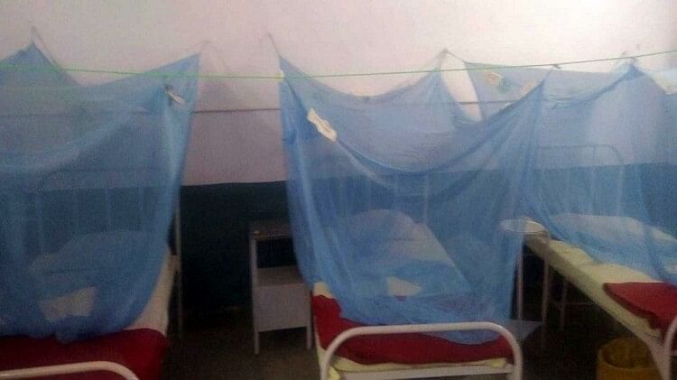 Number of malaria patients crossed 2200 in Bareilly