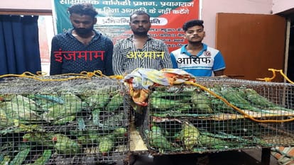 तोतों की तस्करी करने वालों को पुलिस ने किया गिरफ्तार।