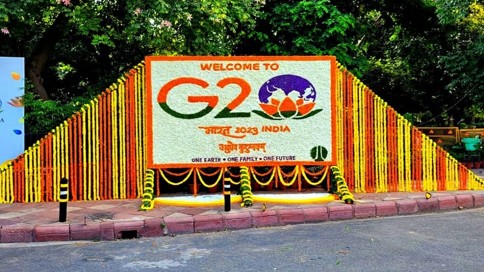 these local bodies increased the pride of India by making Delhi shine