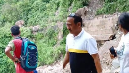 उत्तराखंड: कोटद्वार पौड़ी हाईवे पर धमका हाथी, लोगों में मची भगदड़, हवाई फायर कर वन कर्मियों ने जंगल में खदेड़ा Uttarakhand Elephant attacked on Kotdwar Pauri Highway stampede among people read more update in uttarakhand