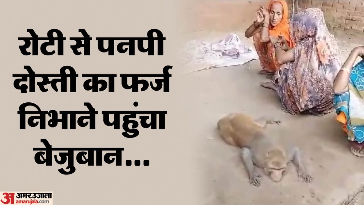 Monkey crying to see farmer dead body in lakhimpur kheri