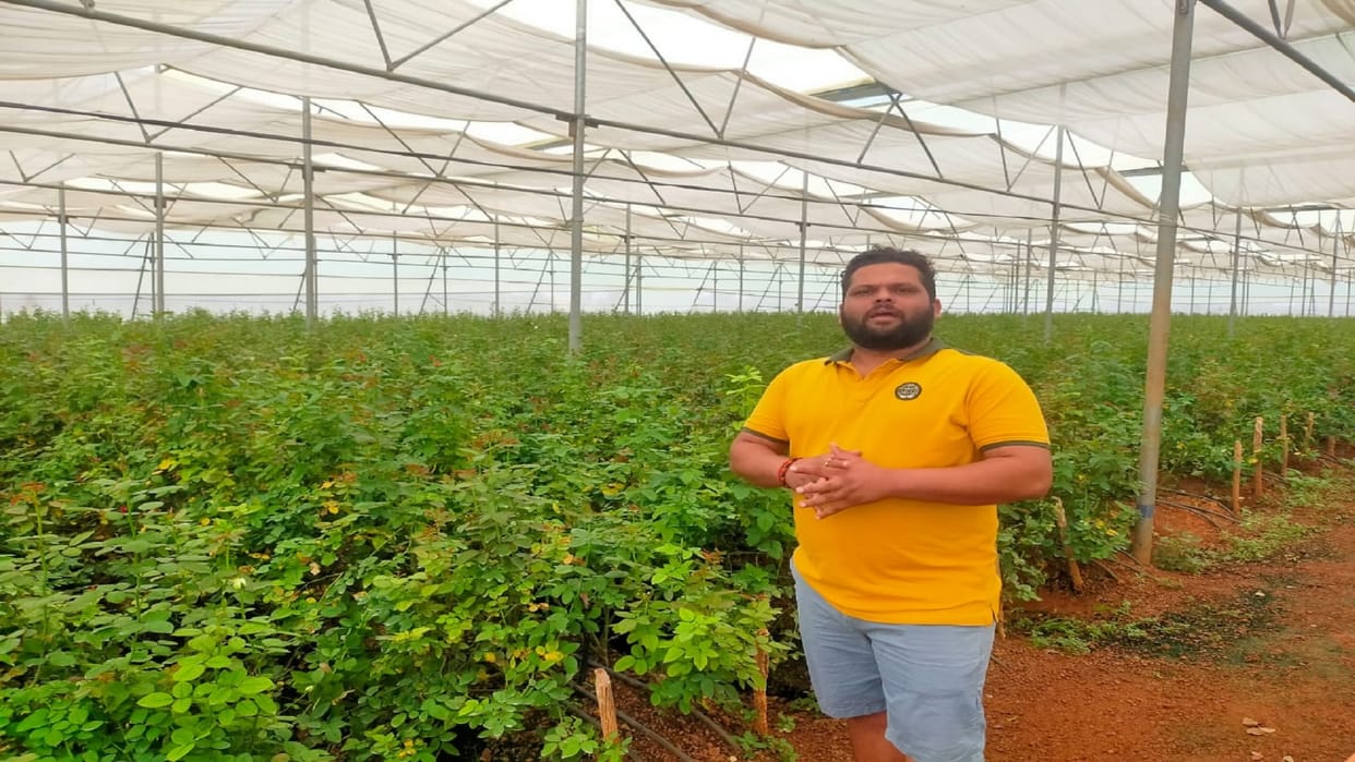 Chhattisgarh: engineering pass youth is doing flower farming in mahasamund