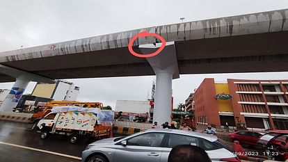 Cat stuck in Agra Metro pillar crane called to rescue