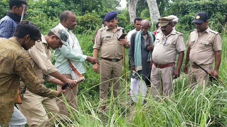 Leopard attacked and killed a woman