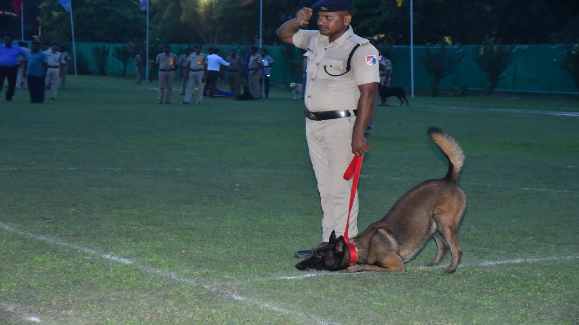 Rambo, Jansi and Bravo were the best search dogs, 60 sniffer dogs from all over the country participated.