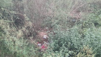 Newborn baby girl found lying in the bushes on the roadside in Budaun