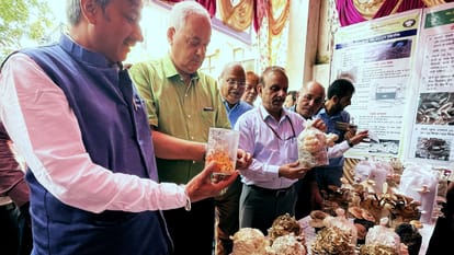 National Mushroom Fair Solan: Mushroom Production three Fold Increased in Four Years