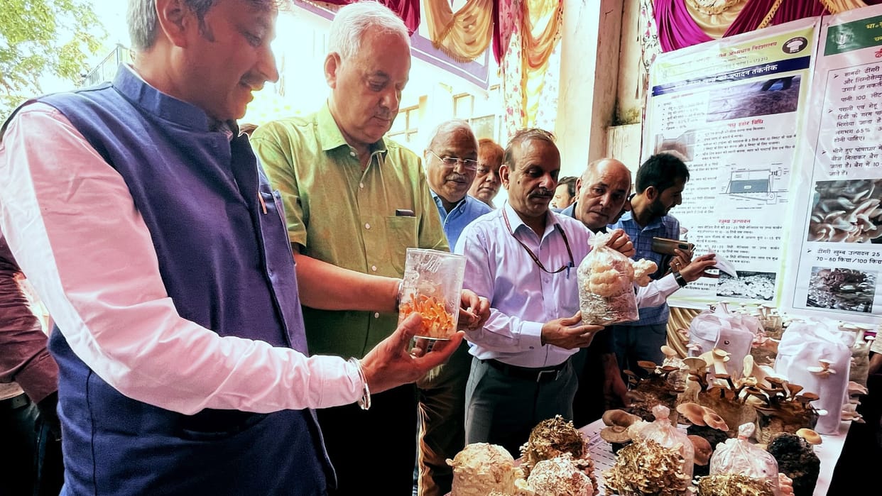 National Mushroom Fair Solan: Mushroom Production three Fold Increased in Four Years