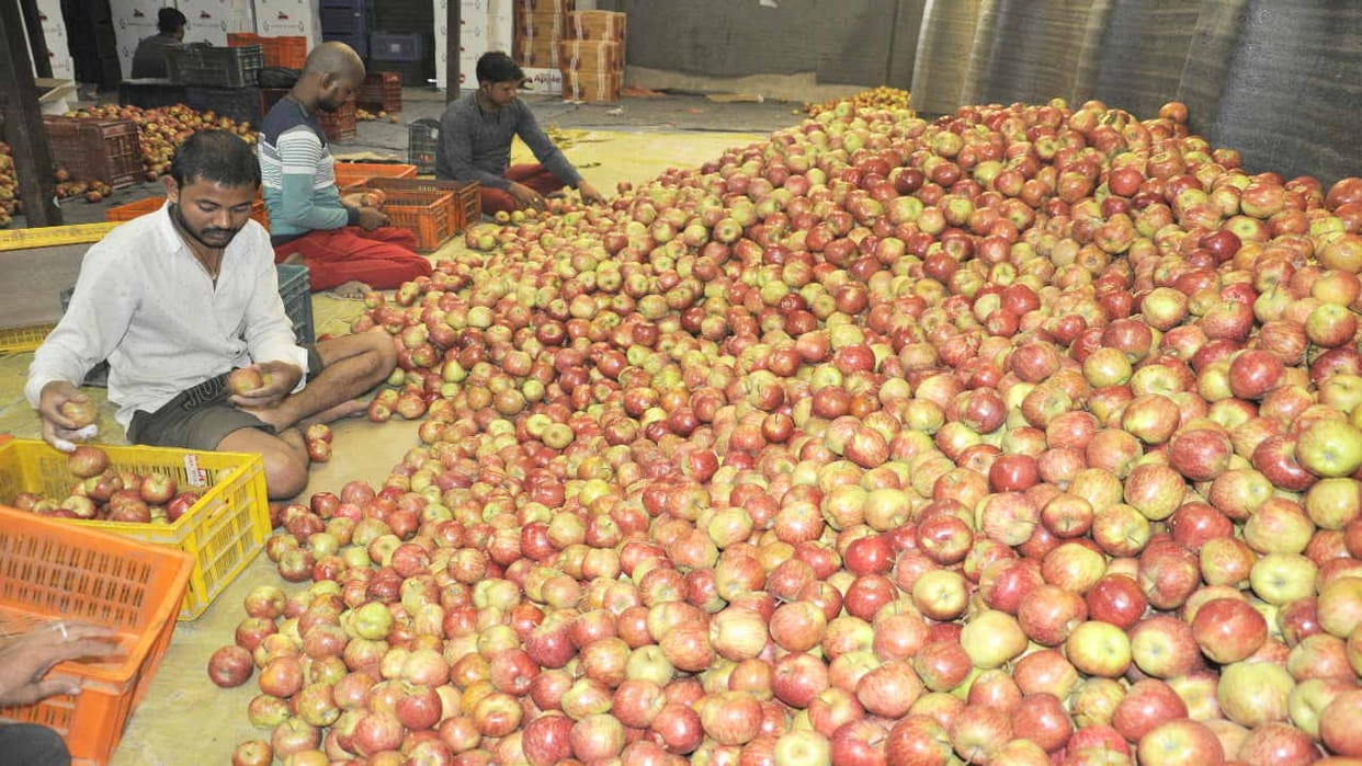 Apple export America India increased 16 times Washington removing 20 percent retaliatory duty