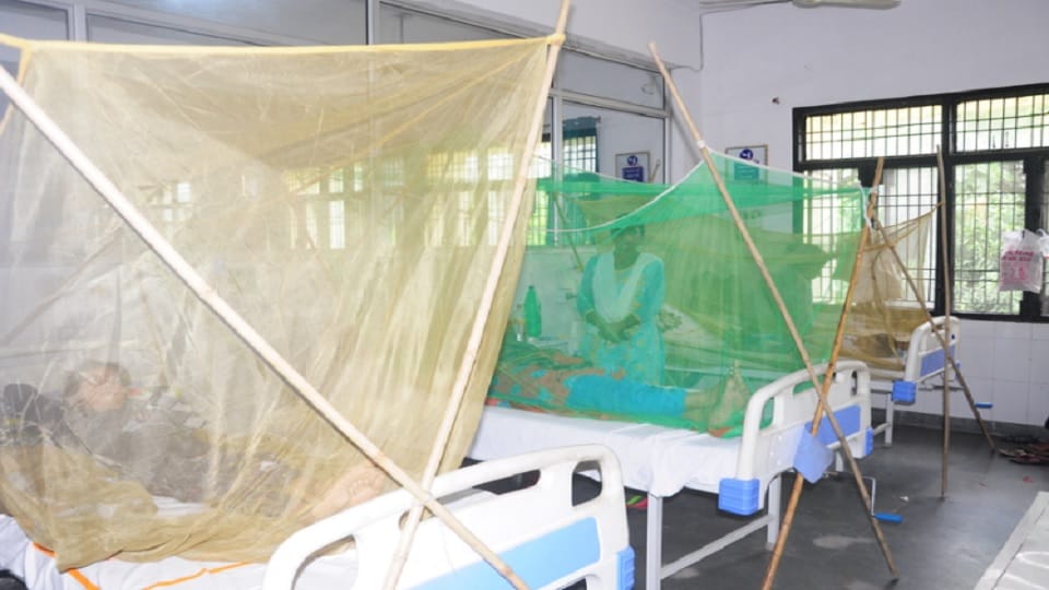 Admission of dengue patients in hopital go down.