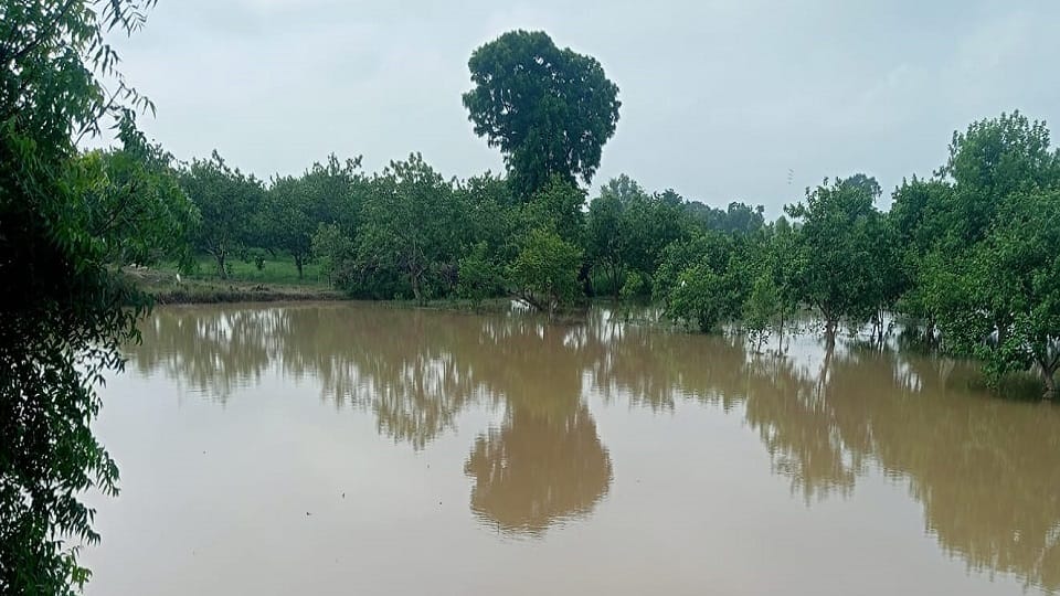 Hundreds of bighas of crops drowned due to cutting of Rajbeha track