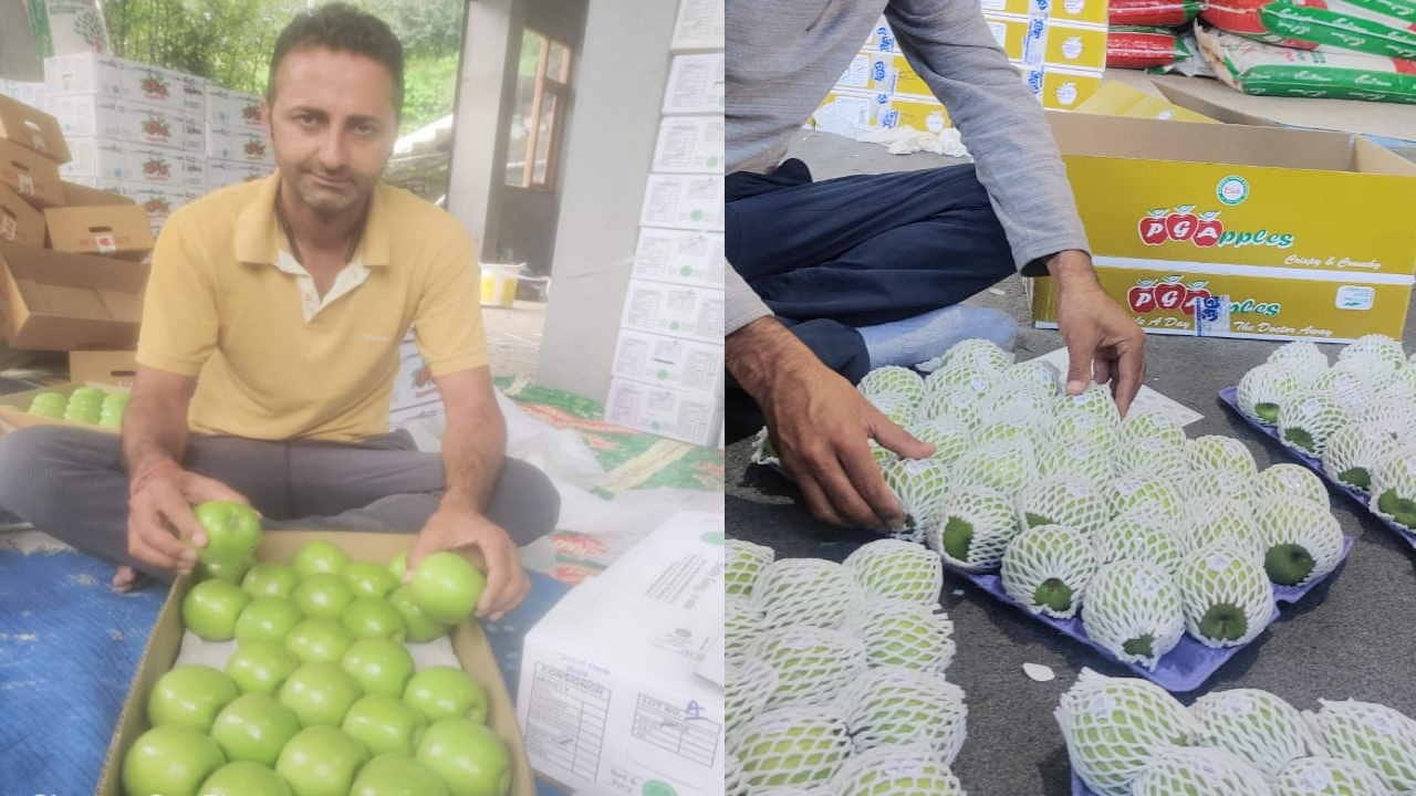 Green apple, Granny Smith sold for Rs 150 per kg, panacea for diabetes