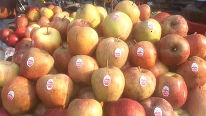 jammu news: Bad apples being sold in Jammu by pasting stickers of best quality of kashmir