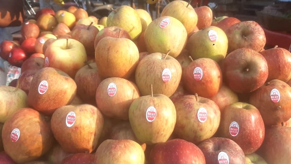Villages in high Himalayan region will flourish with apples in pithoragarh