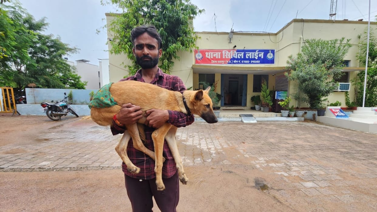 Chhatarpur News: Dog shot dead to avenge previous dispute, case registered against accused