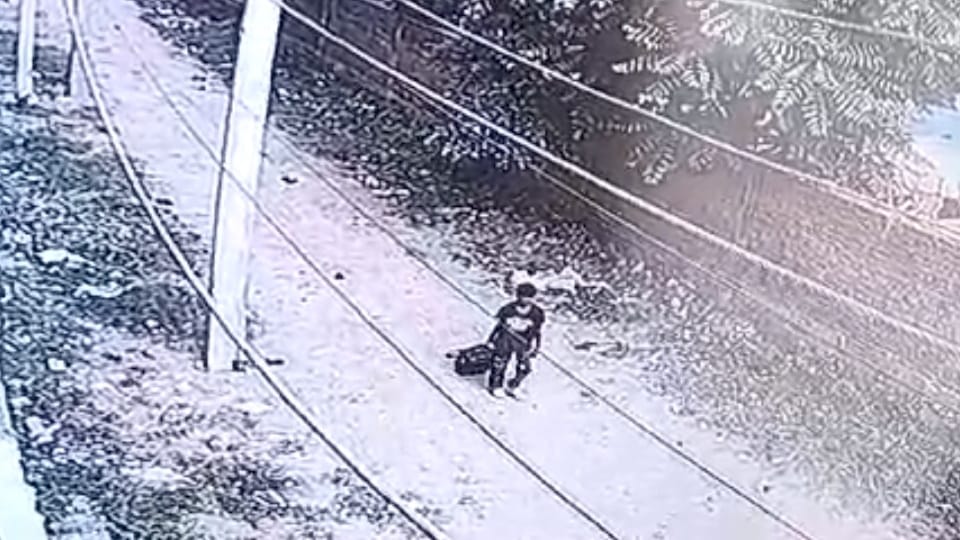 Thieves caught with the help of CCTV, police interrogated them and released them within an hour