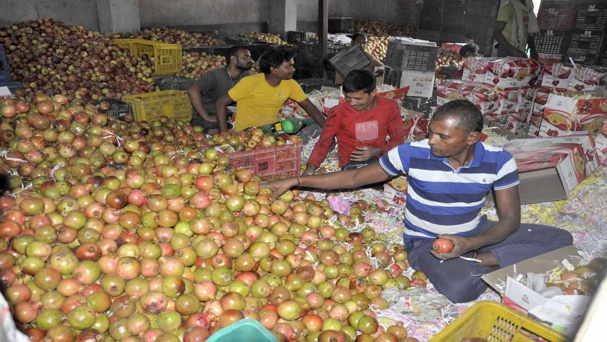 Pomegranate in Kullu's vegetable markets amid apple season, selling at Rs 150 per kg