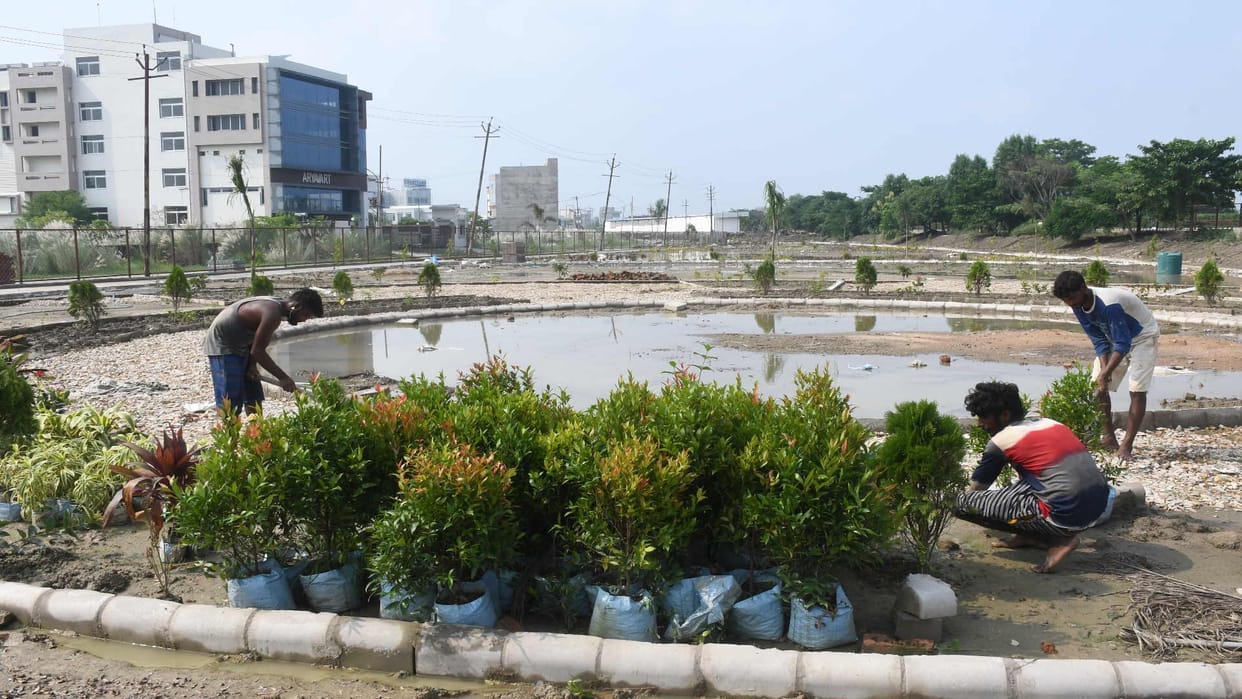 Pathway will become support for visually impaired herbal park will increase knowledge
