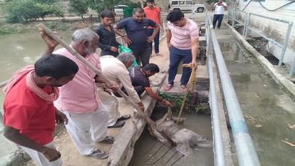 Mahendragarh: एनबी 2 पंप हाउस गांव सुरजनवास के पास मिला शव, पैर फिसलने से डूब गया था मदनलाल Dead body found near NB 2 Pump House village Surjanwas in Mahendragarh