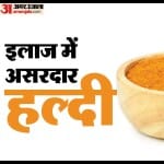 हल्दी (प्रतीकात्मक तस्वीर)