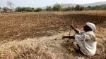 महाराष्ट्र के मराठवाड़ा में बढ़ रहे किसानों की आत्महत्या के मामले।