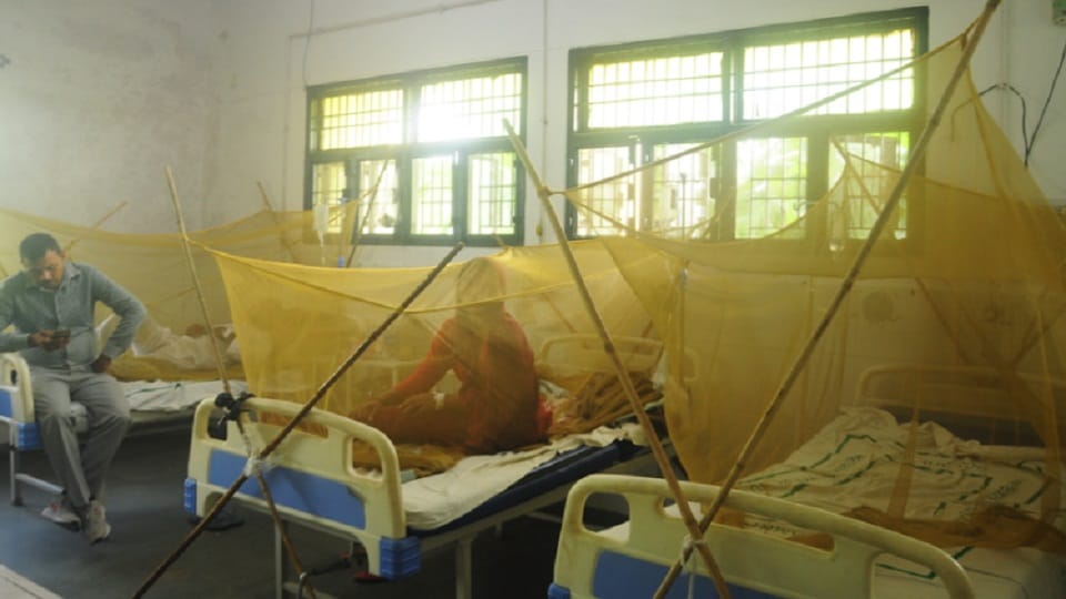 Four new dengue patients found in district hospital gorakhpur
